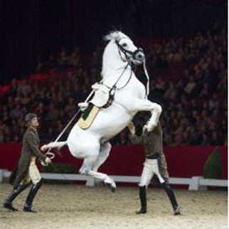 Spanish Riding School | OVO Arena Wembley